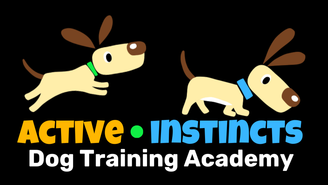 Active Instincts Dog Training Academy